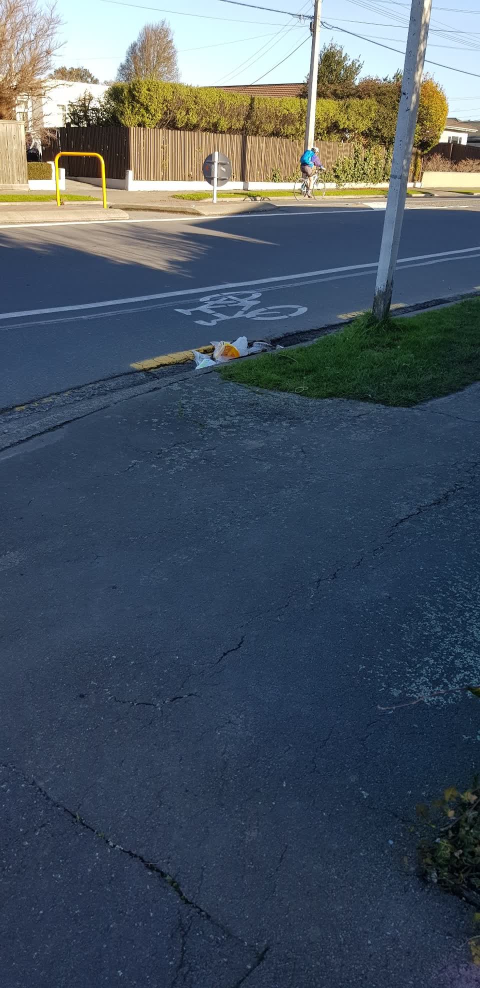 The photograph attached to this rubbish/recycling report