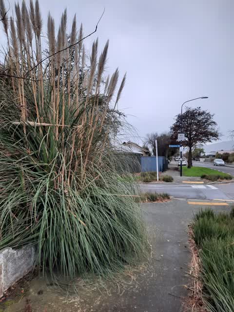 Roading/Streets — a report photo