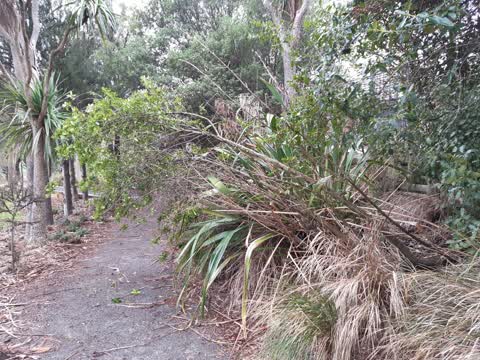 Parks — a report photo