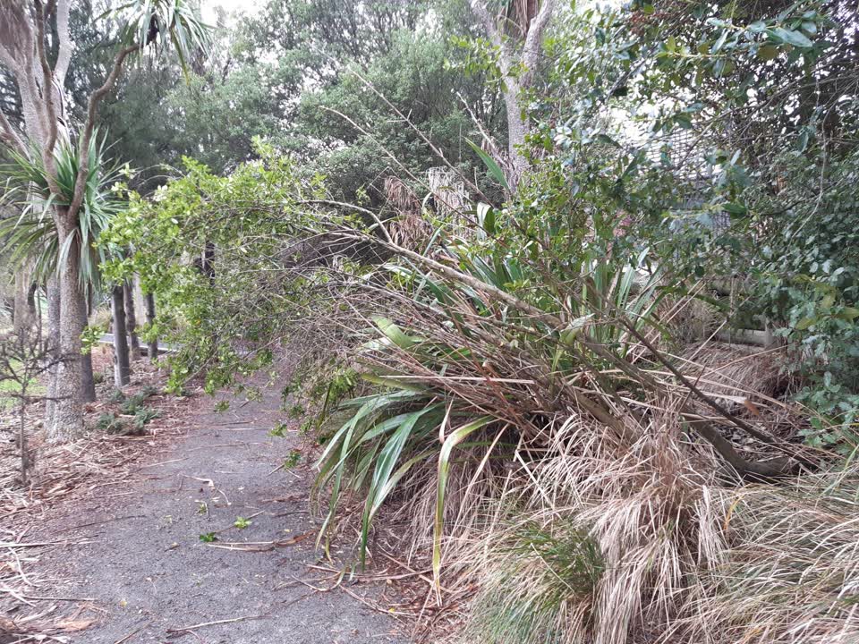 The photograph attached to this parks report