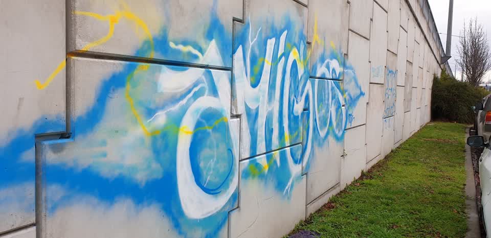 The photograph attached to this graffiti report