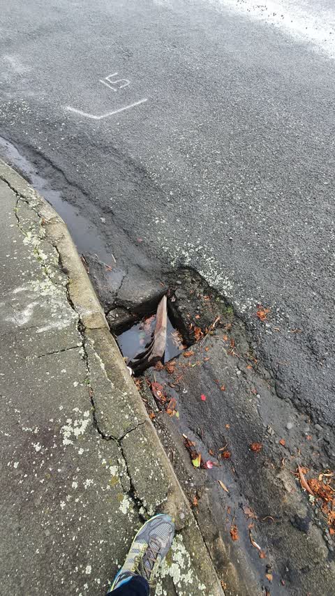 Wastewater/Stormwater — a report photo