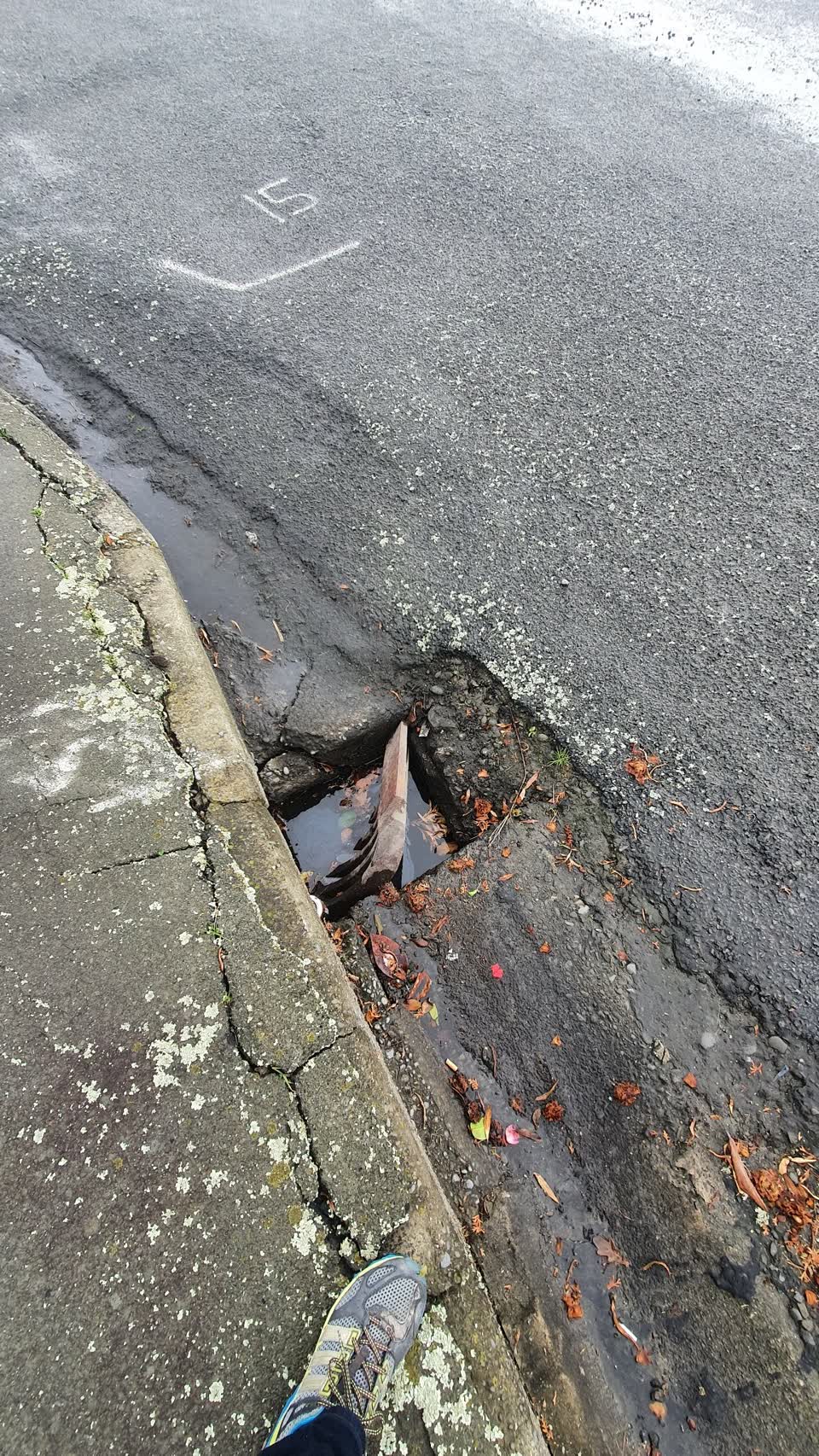 The photograph attached to this wastewater/stormwater report