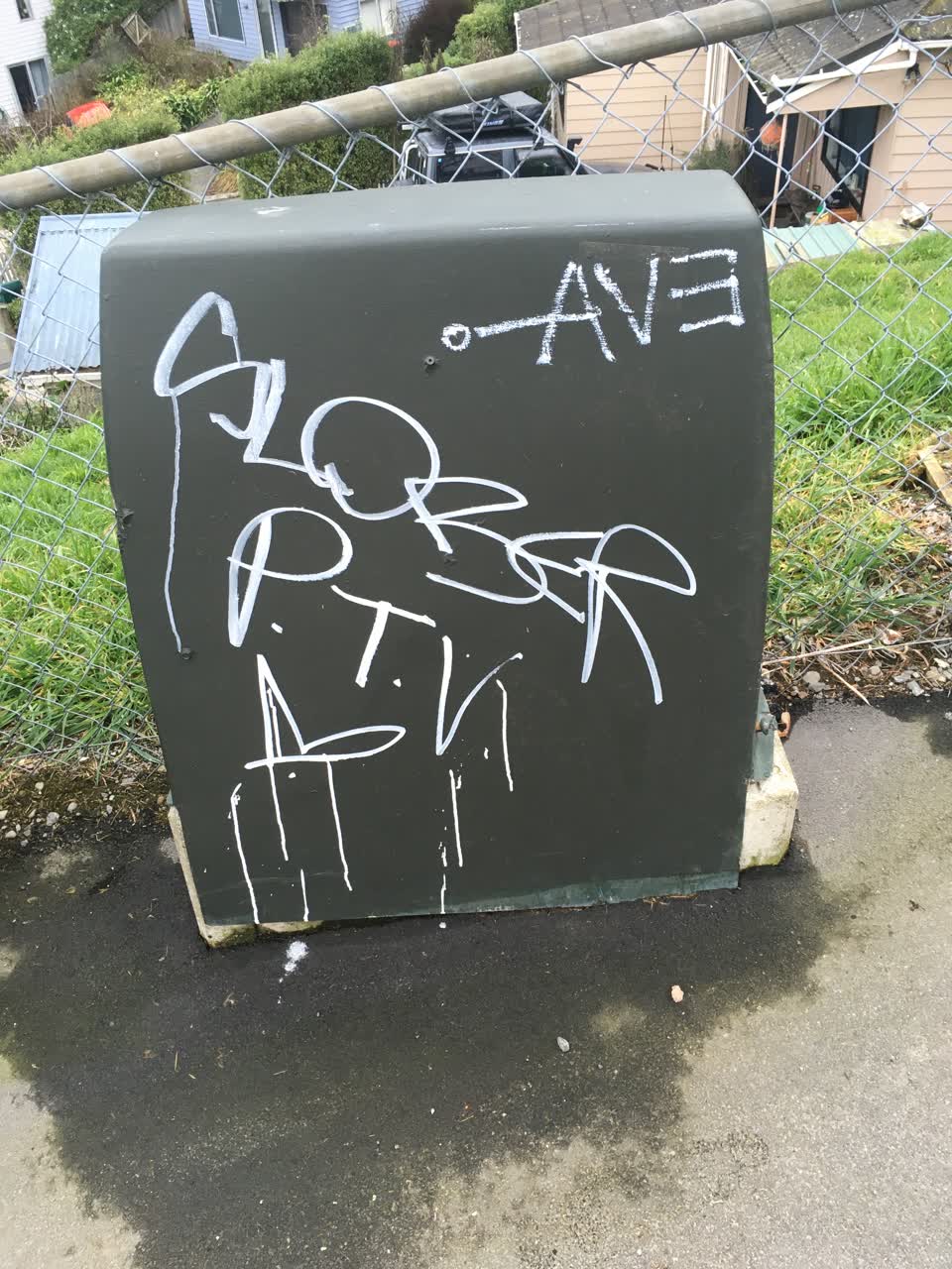 The photograph attached to this graffiti report