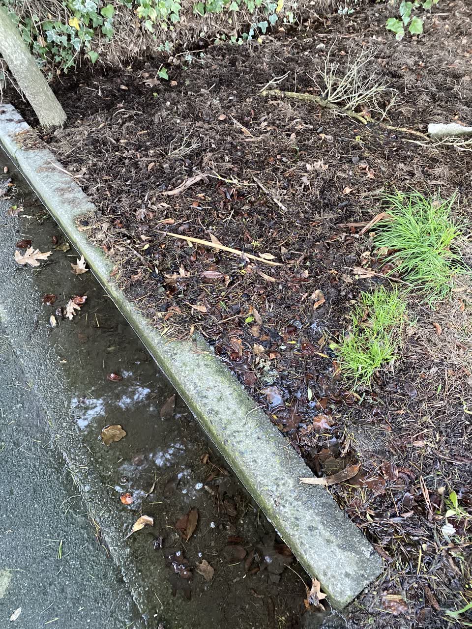 The photograph attached to this water leak report