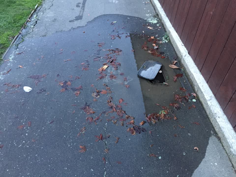 The photograph attached to this water leak report