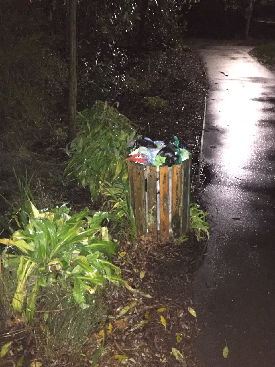 The photograph attached to this rubbish/recycling report