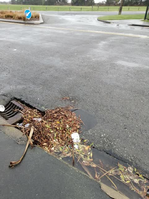Wastewater/Stormwater — a report photo
