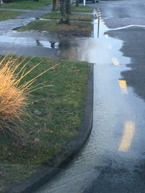 Water Leak, a report photo