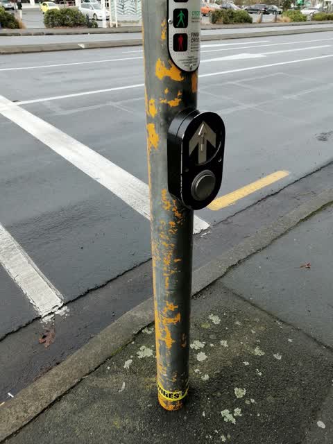 Roading/Streets, a report photo