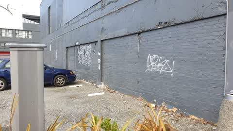 Graffiti — a report photo