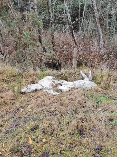 Rubbish/Recycling, a report photo