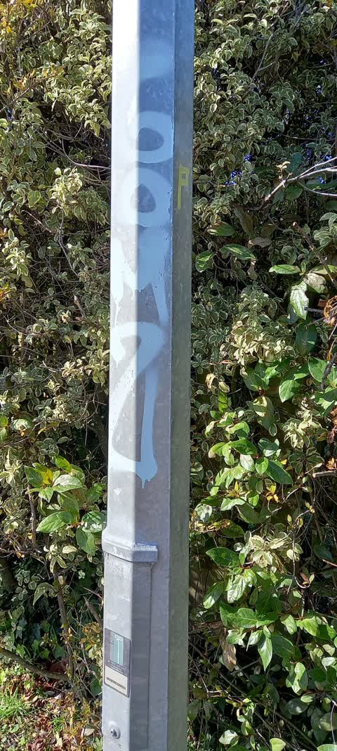 Graffiti, a report photo