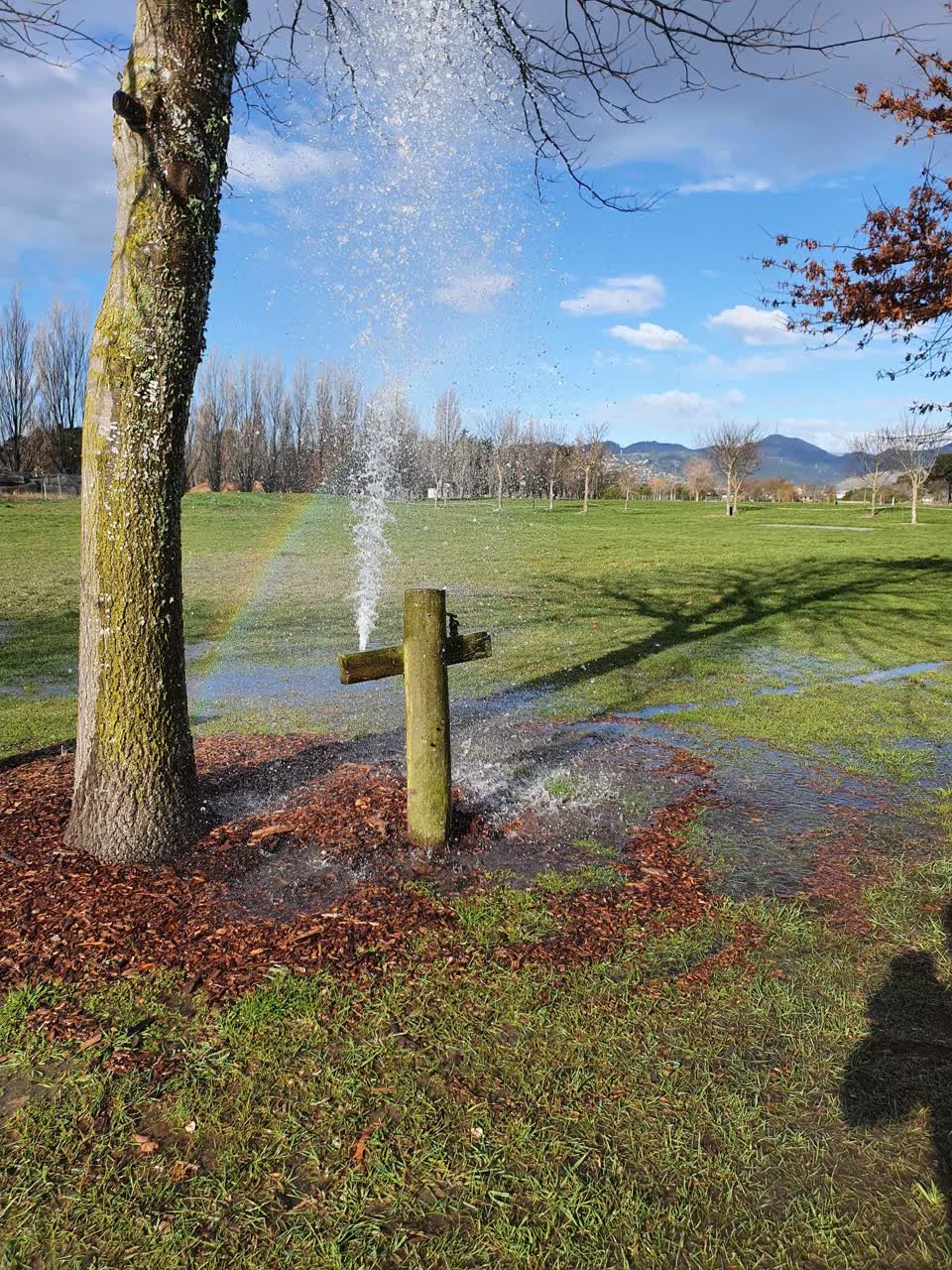 The photograph attached to this water leak report