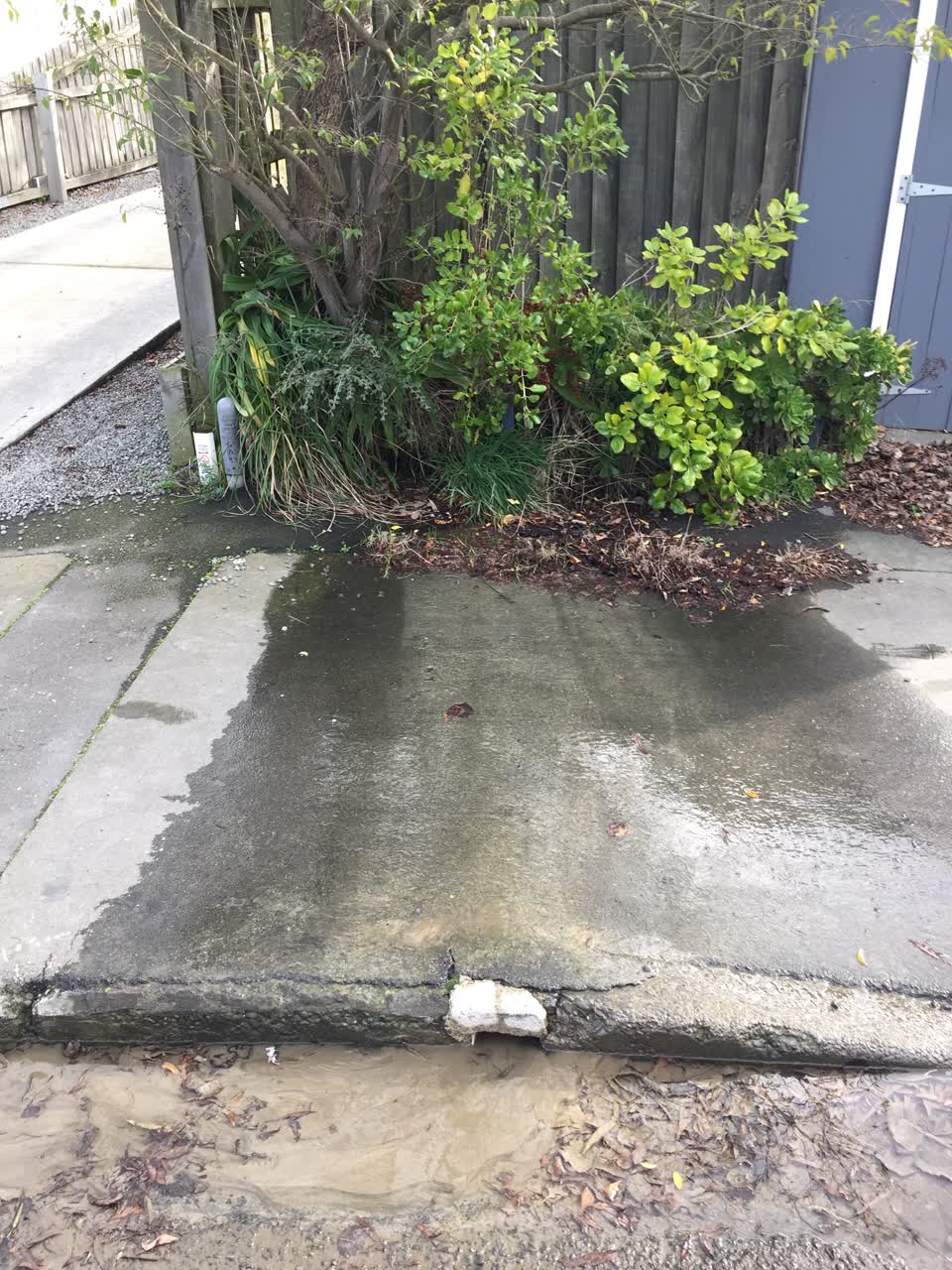 The photograph attached to this water leak report