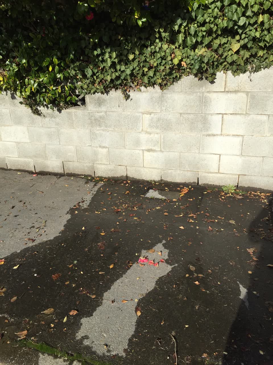 The photograph attached to this water leak report
