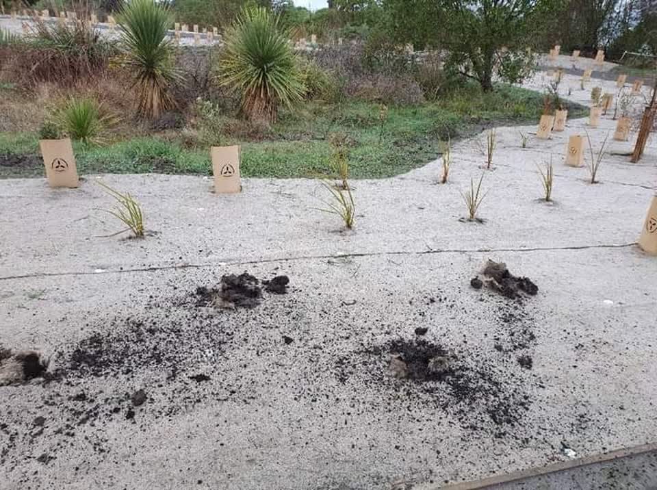 The photograph attached to this parks report