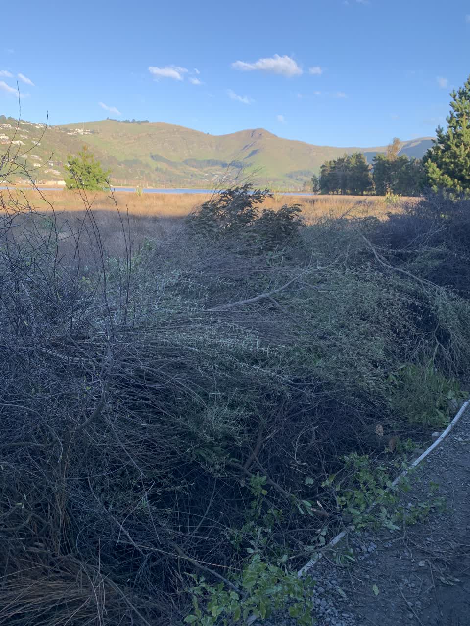 The photograph attached to this parks report