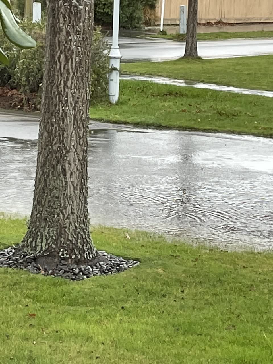 The photograph attached to this flooding report