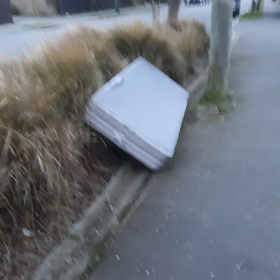 The photograph attached to this rubbish/recycling report