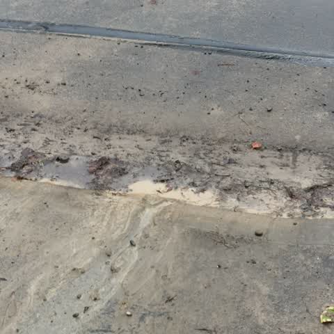 Wastewater/Stormwater, a report photo