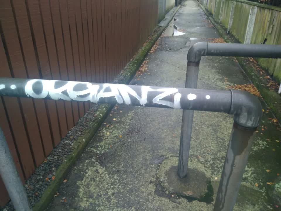 The photograph attached to this graffiti report