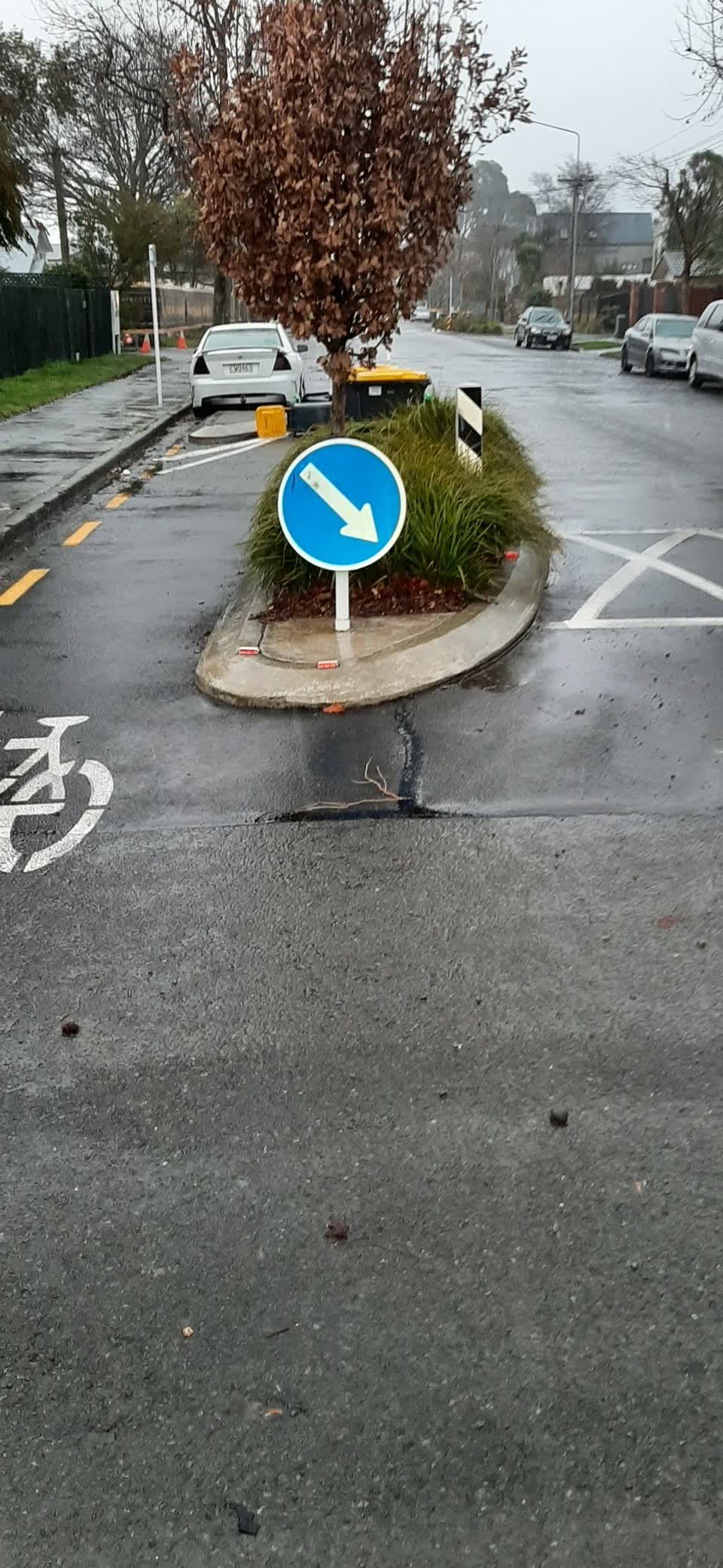 The photograph attached to this roading/streets report