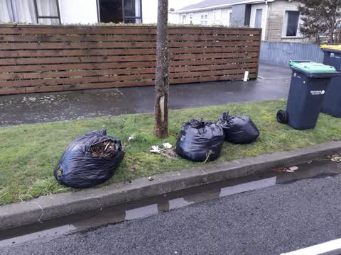 Rubbish/Recycling, a report photo
