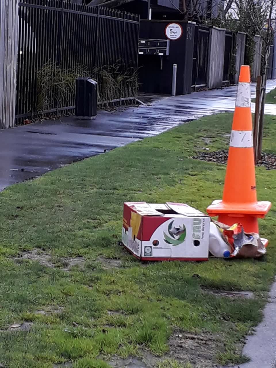 The photograph attached to this rubbish/recycling report