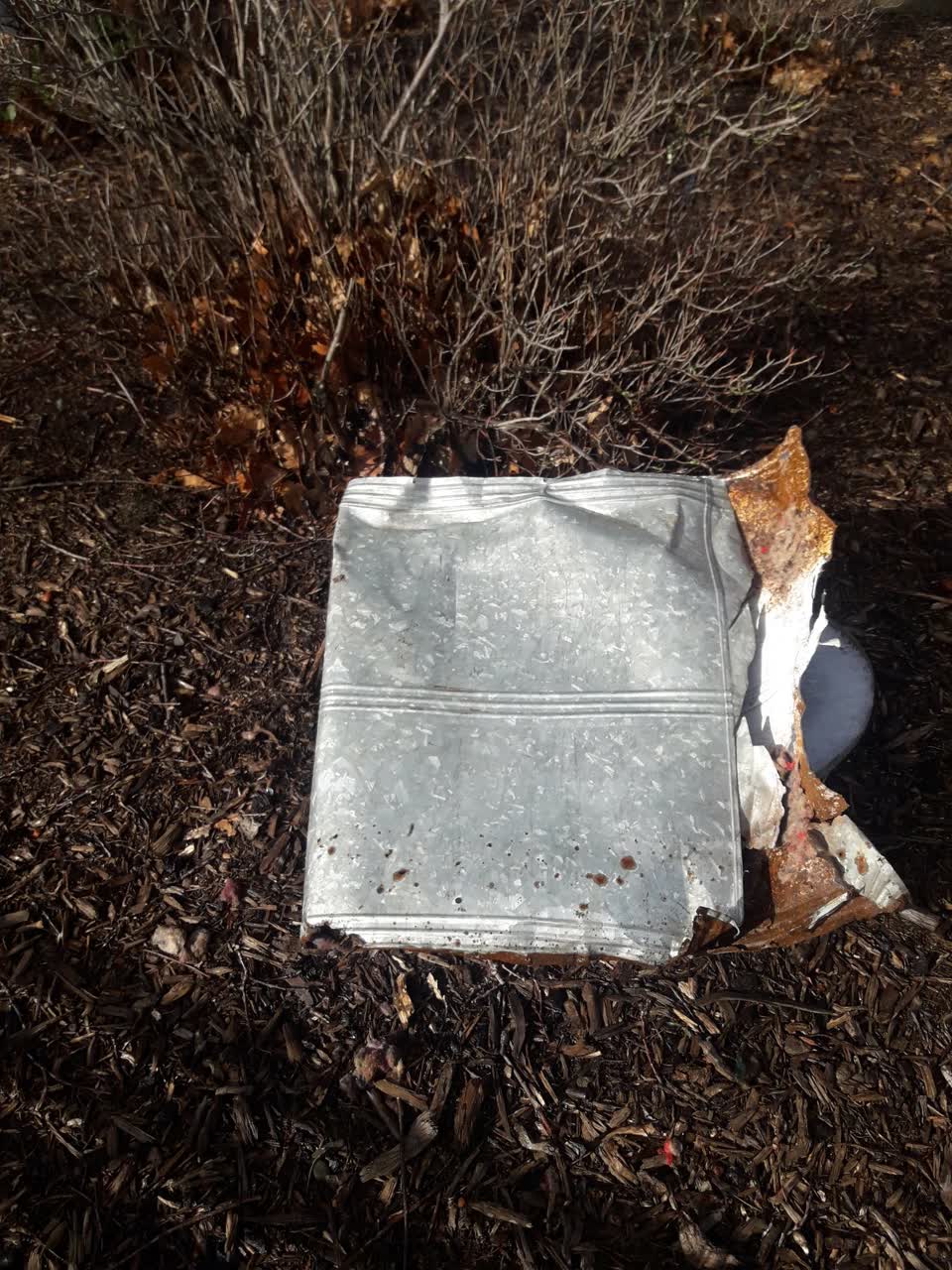 The photograph attached to this parks report