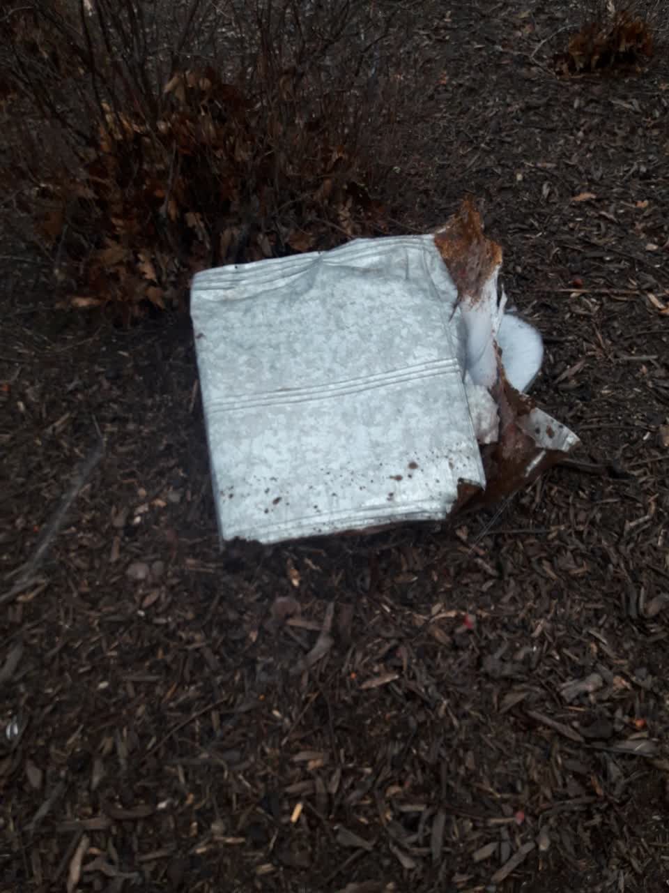 The photograph attached to this parks report