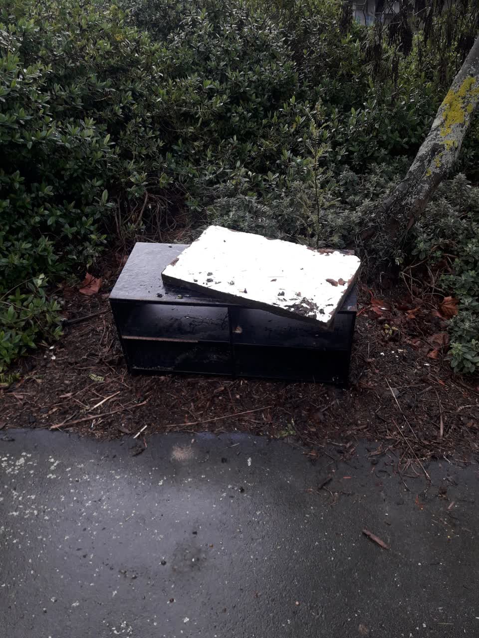 The photograph attached to this parks report