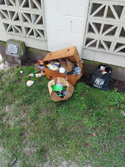 Rubbish/Recycling, a report photo