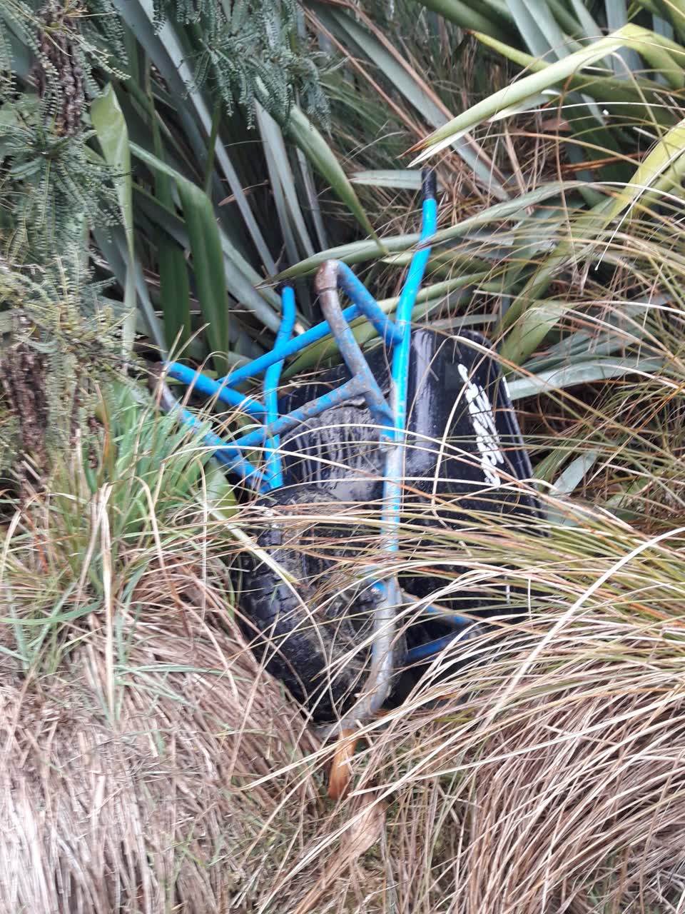 The photograph attached to this parks report