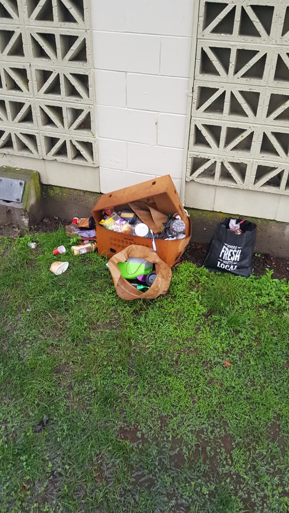 The photograph attached to this rubbish/recycling report