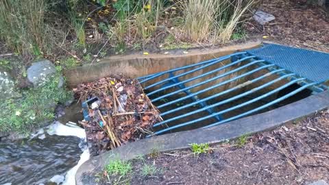 Wastewater/Stormwater, a report photo