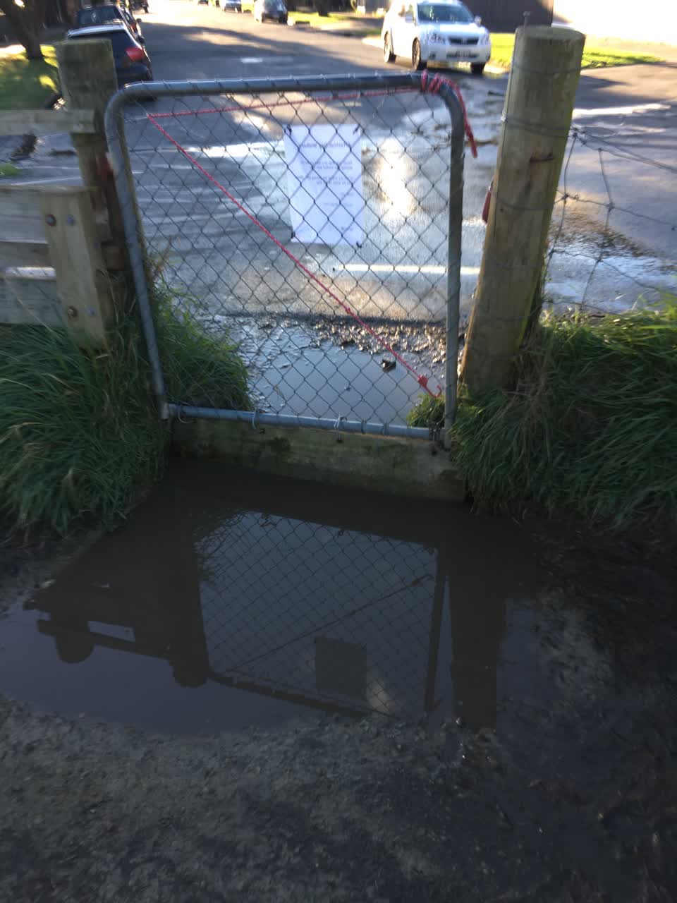 The photograph attached to this parks report