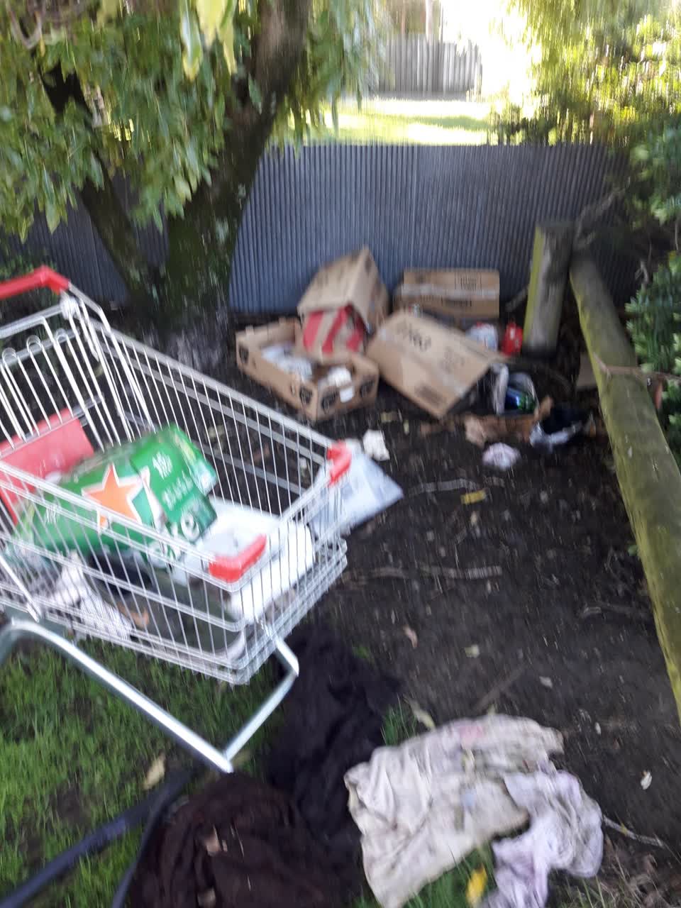 The photograph attached to this parks report