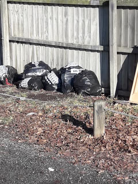 Parks, a report photo