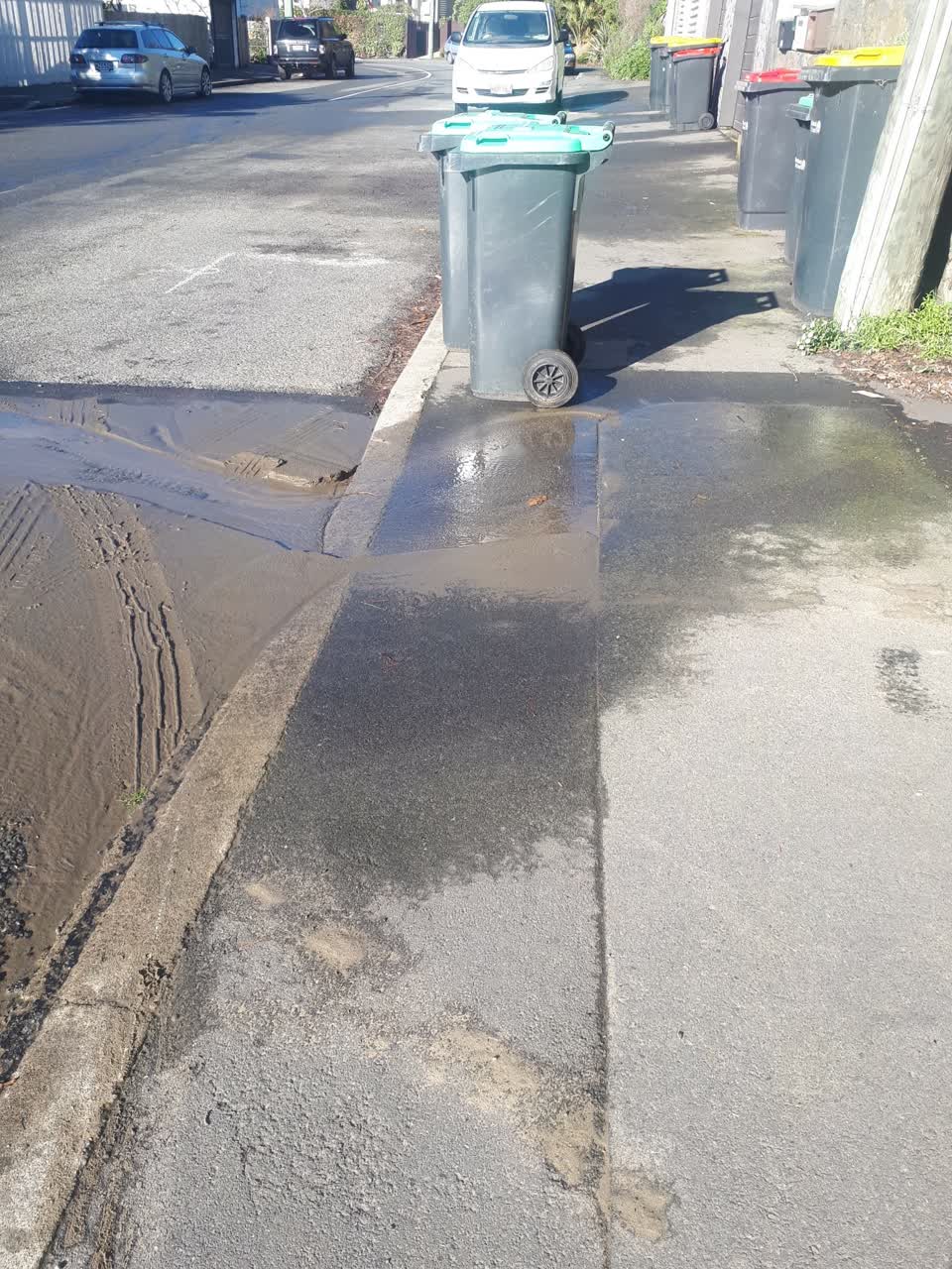 The photograph attached to this water leak report