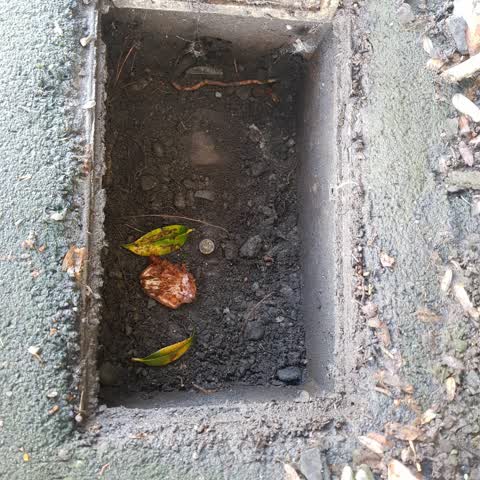 Water Supply, a report photo