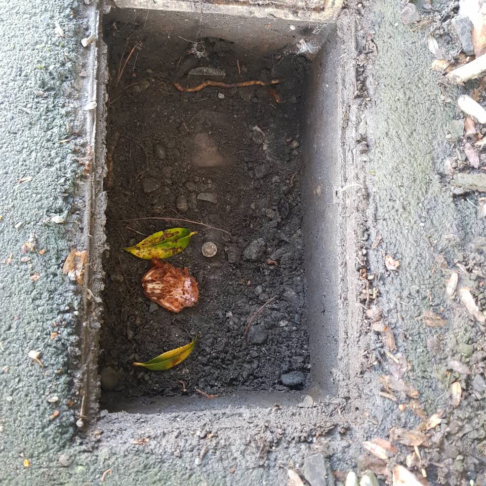 The photograph attached to this water supply report