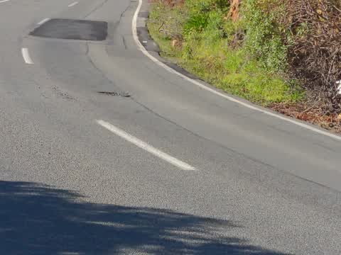 Roading/Streets, a report photo