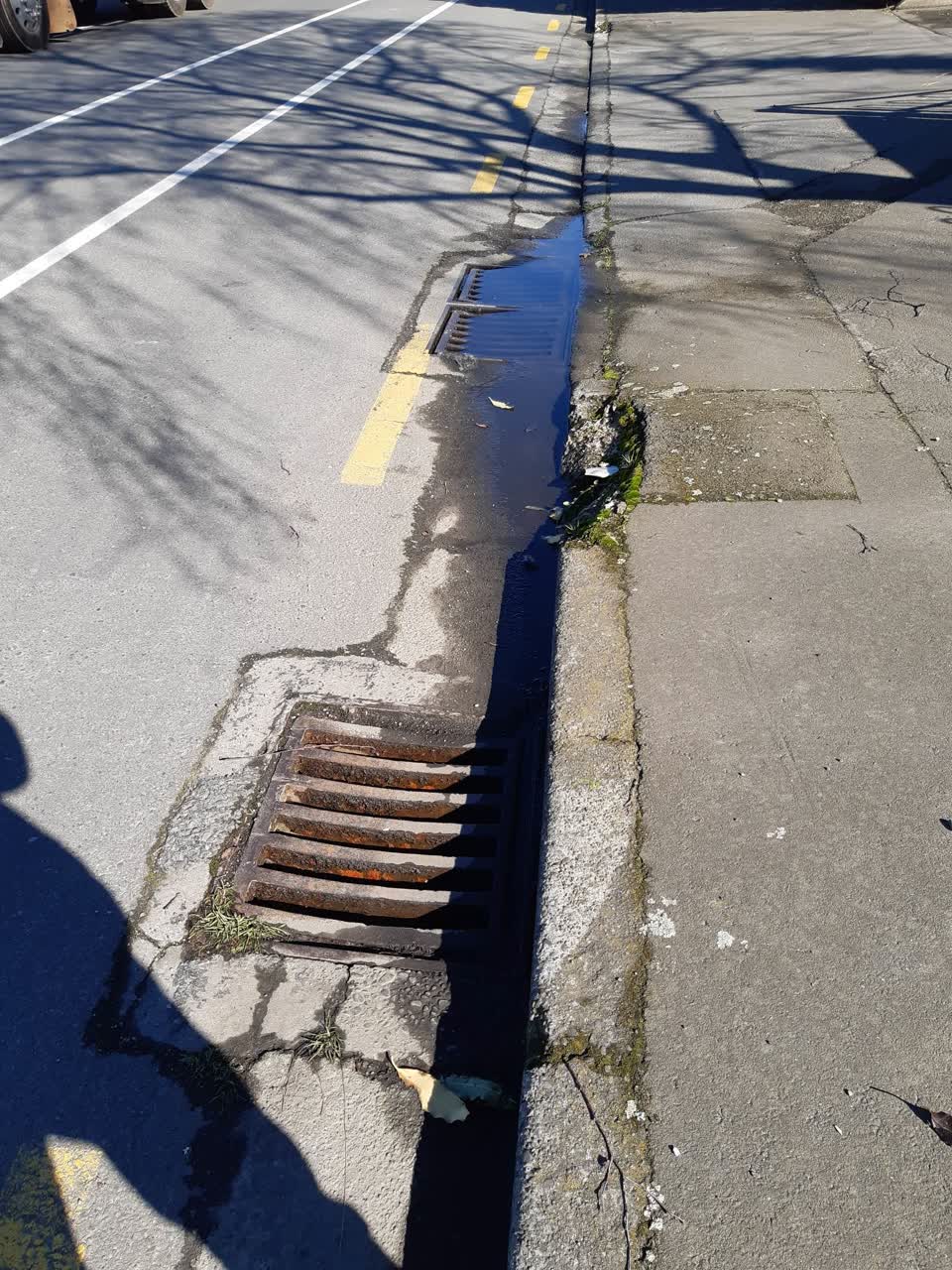 The photograph attached to this sewer - leak / blockage report