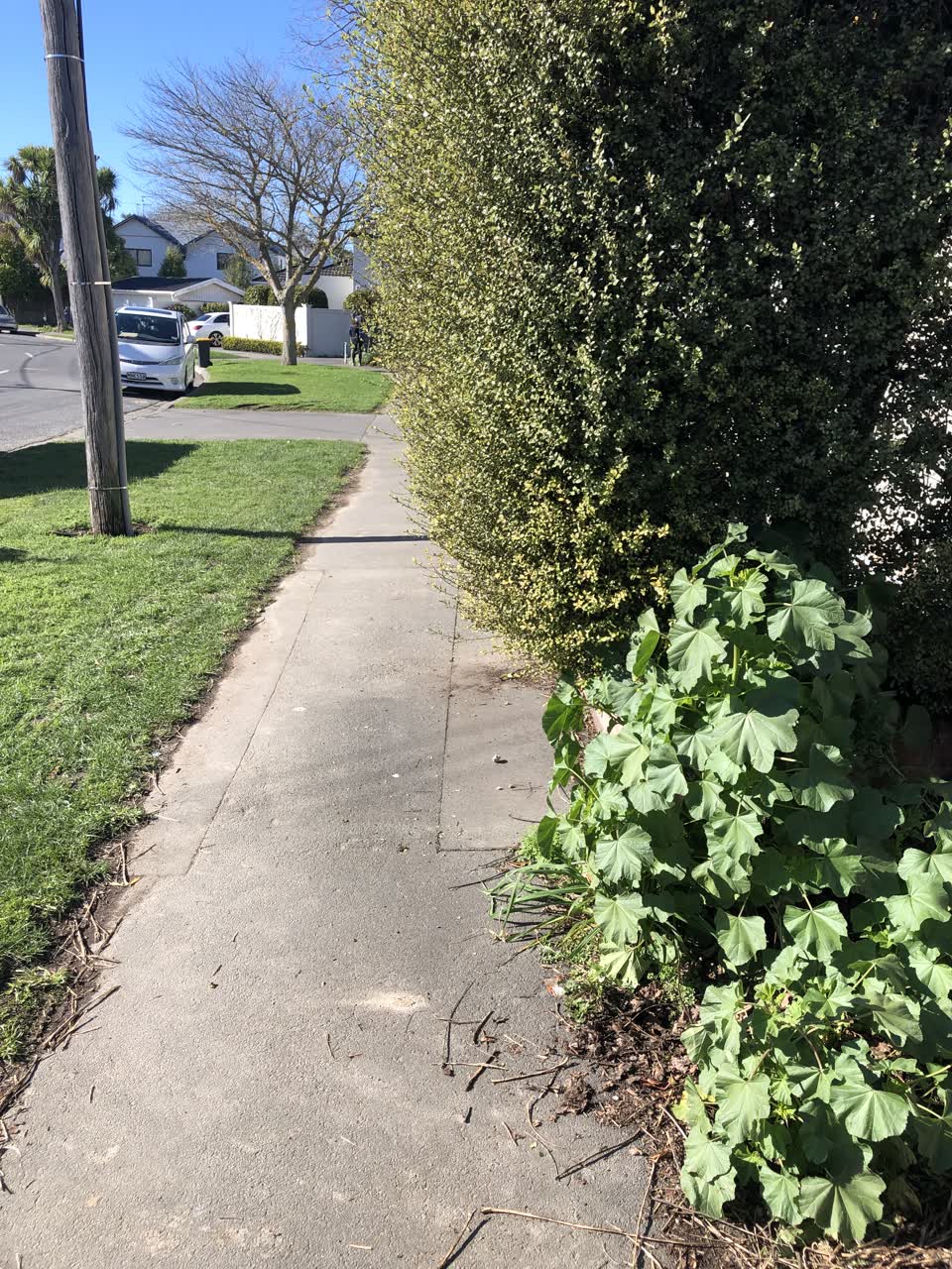 The photograph attached to this roading/streets report