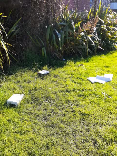Rubbish/Recycling, a report photo