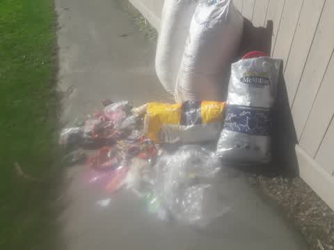 Rubbish/Recycling, a report photo