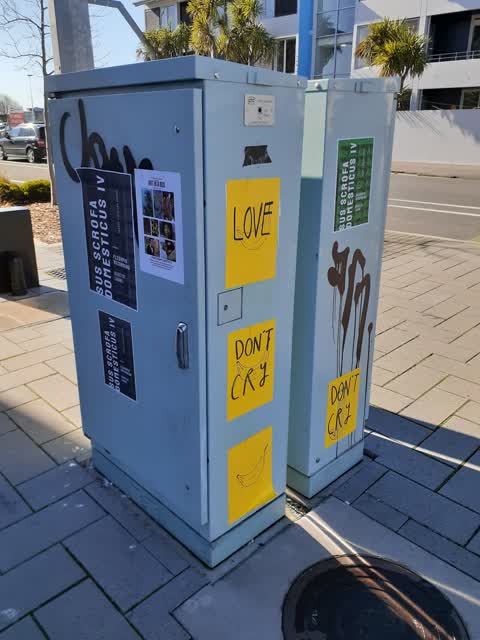 Graffiti, a report photo