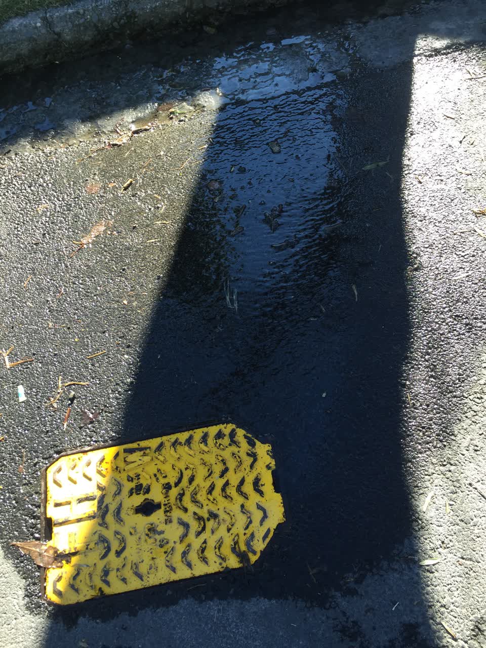 The photograph attached to this water leak report