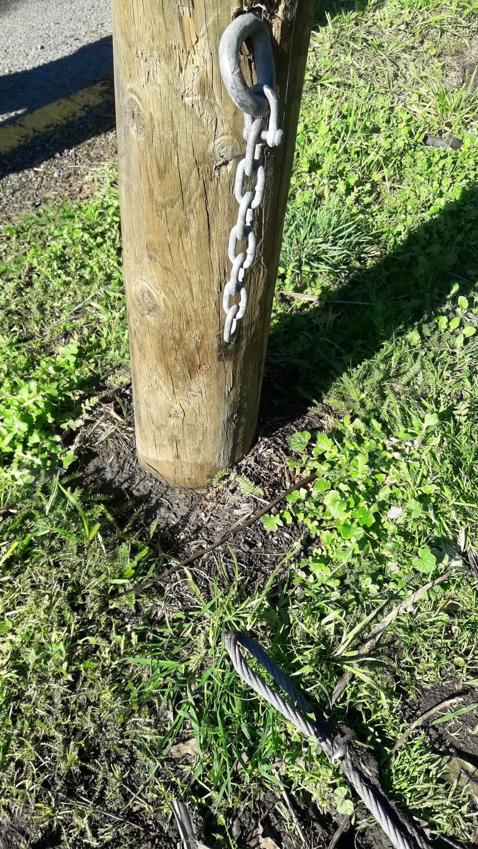 The photograph attached to this parks report